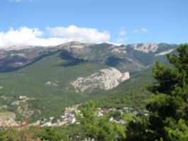 Ялтинские спасатели эвакуировали из леса травмированную девушку