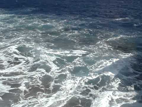 Пропавшие в море близ Ялты моряки – из Новороссийска