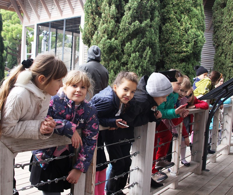 yalta inturist5