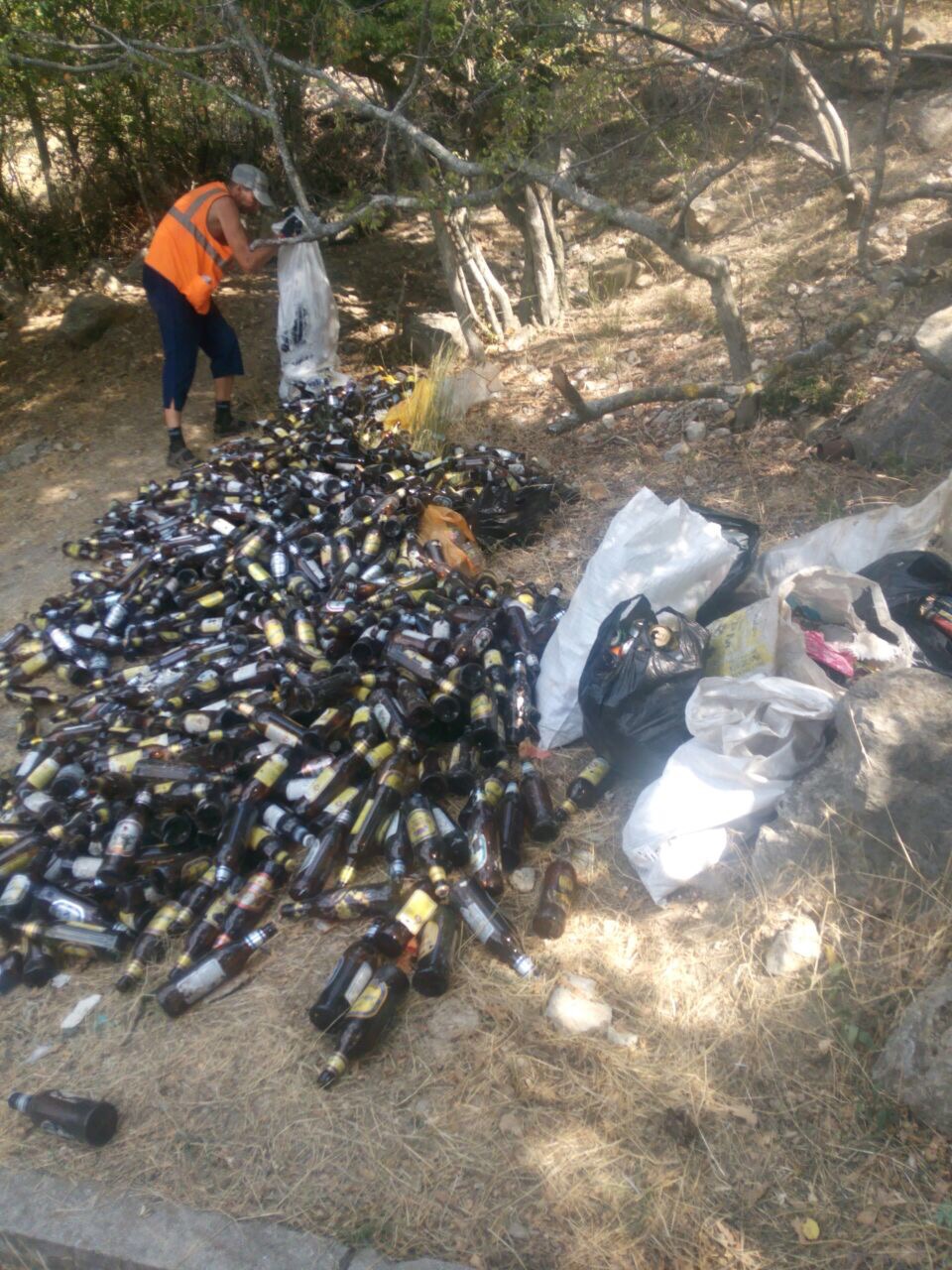 musor solnecnaya tropa
