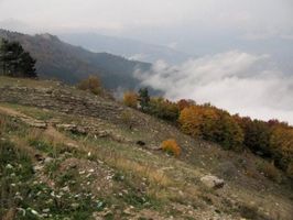 После прогулки на Ай-Петри туристке из Питера понадобилась помощь врачей