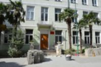 В Ялте москвичи помогают обустраивать образцовый школьный двор