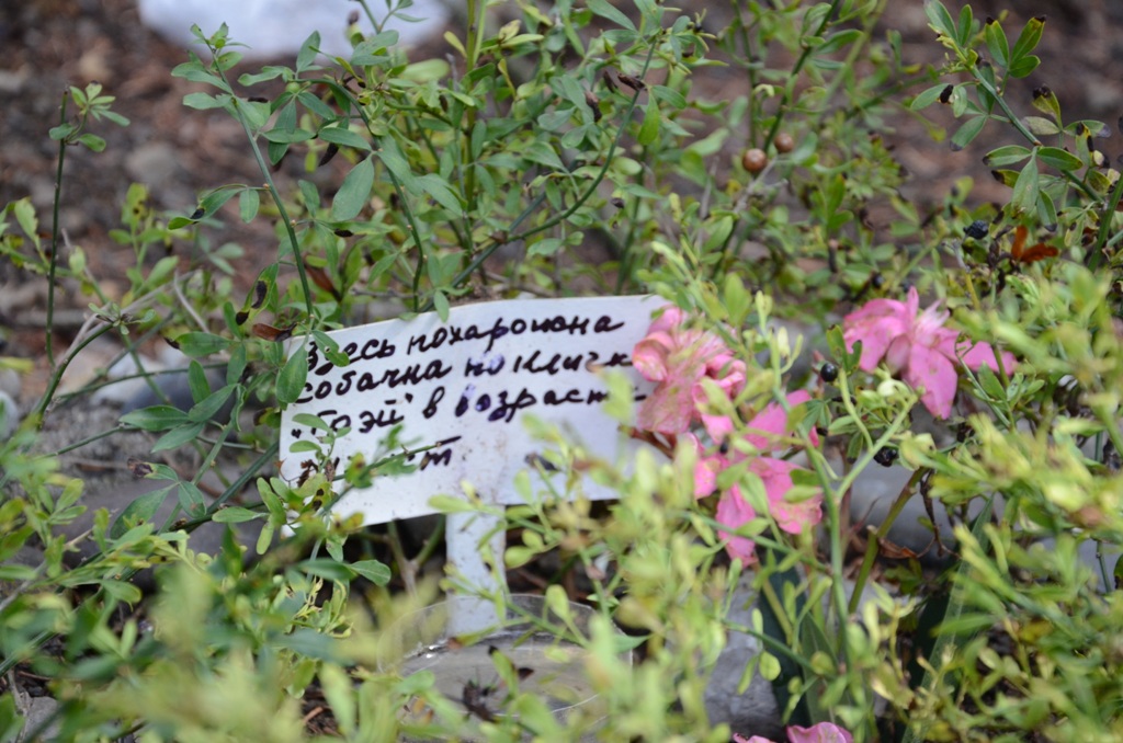 memorial5