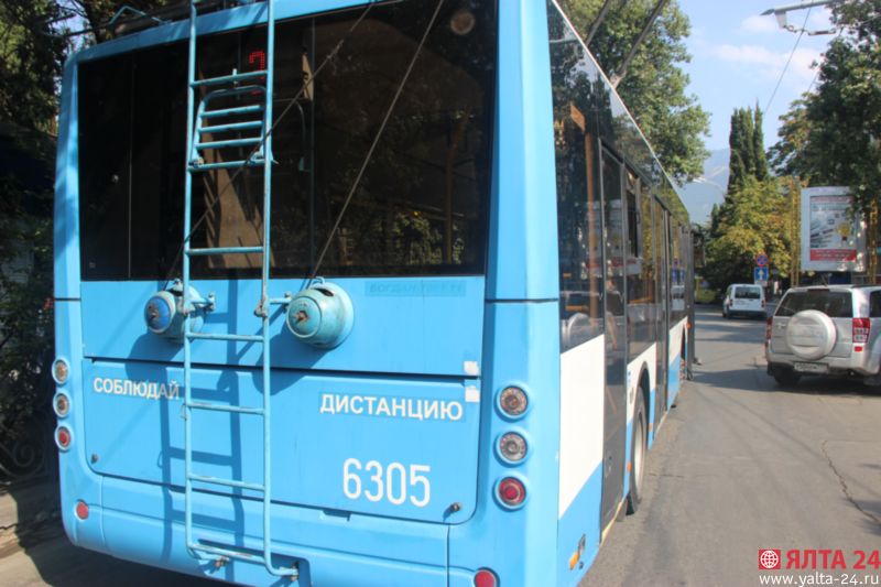 probka trolleybusIMG 4161
