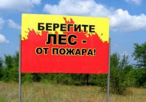 В лесах Крыма на 21 день ограничили пребывание граждан