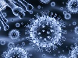 На ялтинском предприятии зафиксировали вспышку ротавирусной инфекции