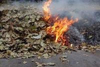 Жителям Массандры «нечем дышать»