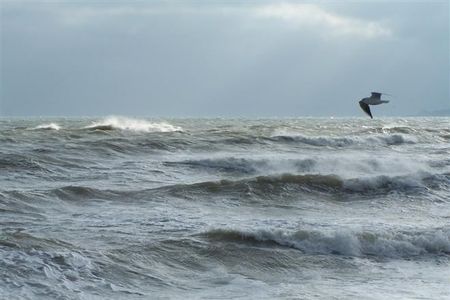 В Крыму ищут рыбаков, пропавших в Азовском море 