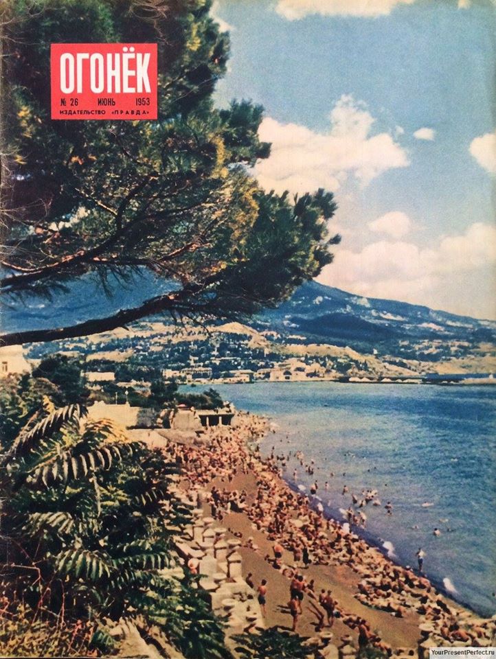 ogonek sosna2
