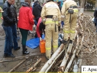 В Армянске упавшее дерево сделало местную жительницу инвалидом