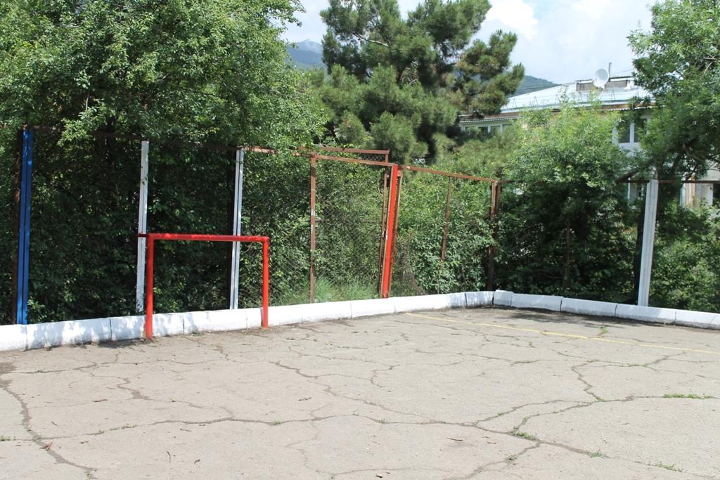 sport hokkey