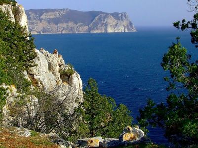 В этом году почти 50% крымских туристов оказались «дикарями»