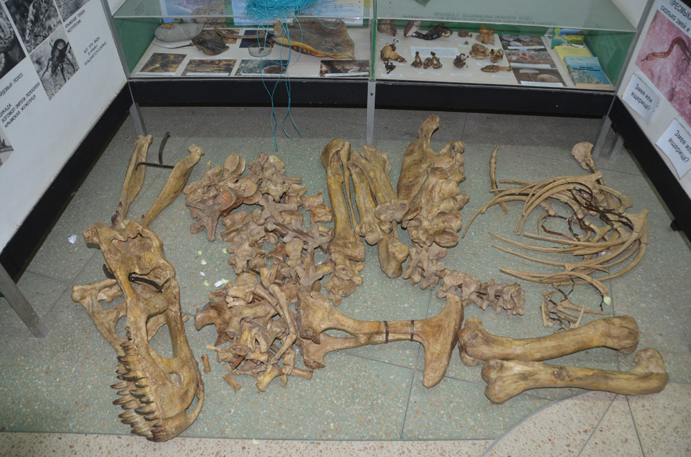 dinozavri2