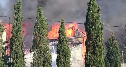 Козенко требует наказать чиновников, позволивших горевшему лагерю в Форосе работать незаконно