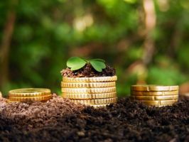 Земельный и имущественный налоги крымчане начнут платить с 2018 года