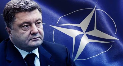 Порошенко намерен провести Референдум по вопросу вступления Украины в НАТО