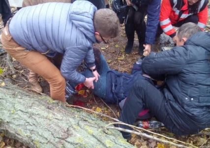 В Бахчисарайском районе дерево убило девушку 