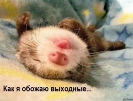 Аксенов утвердил четыре нерабочих праздничных дня в Крыму