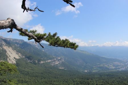 Правительство Крыма официально установило границы Ялтинского горно-лесного заповедника