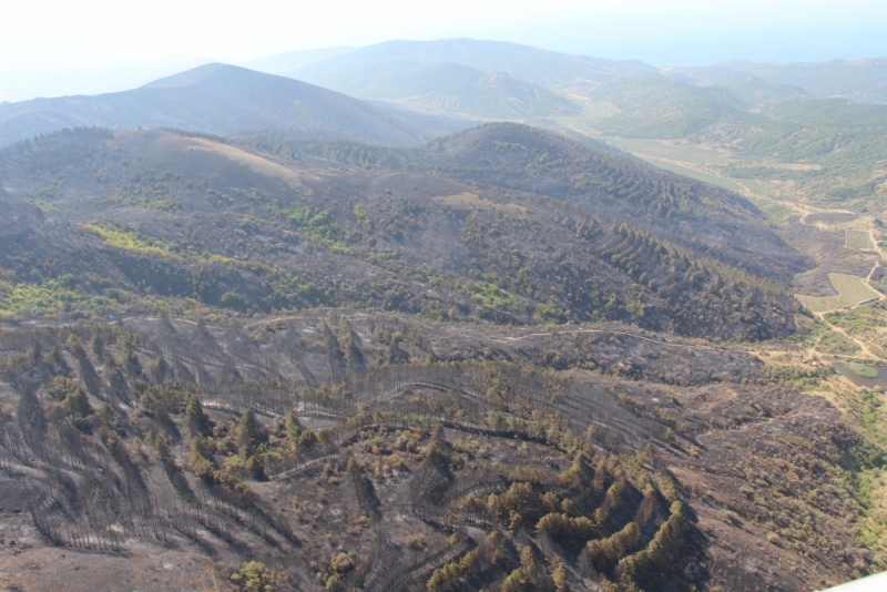 pozar sudak