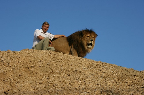 В сафари-парке «Тайган» умер лев Лорд