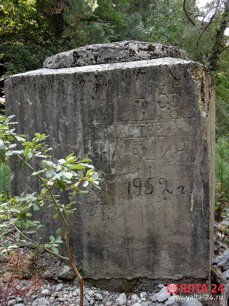 P9200150 ych koch