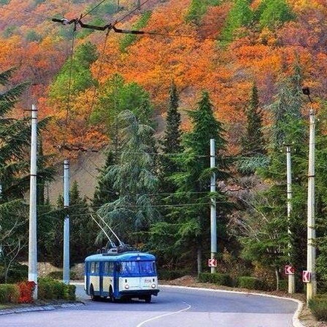 trolleybus