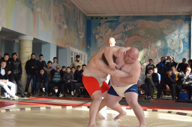 сумо 6 sumo