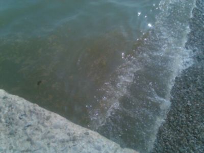 Две пробы морской воды у берегов Ялты оказались не в норме