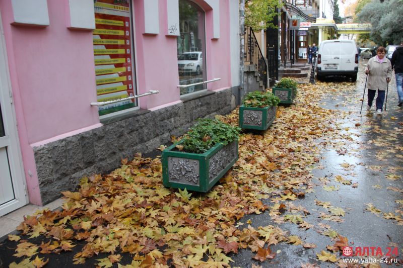 Осенний листопад в Ялте