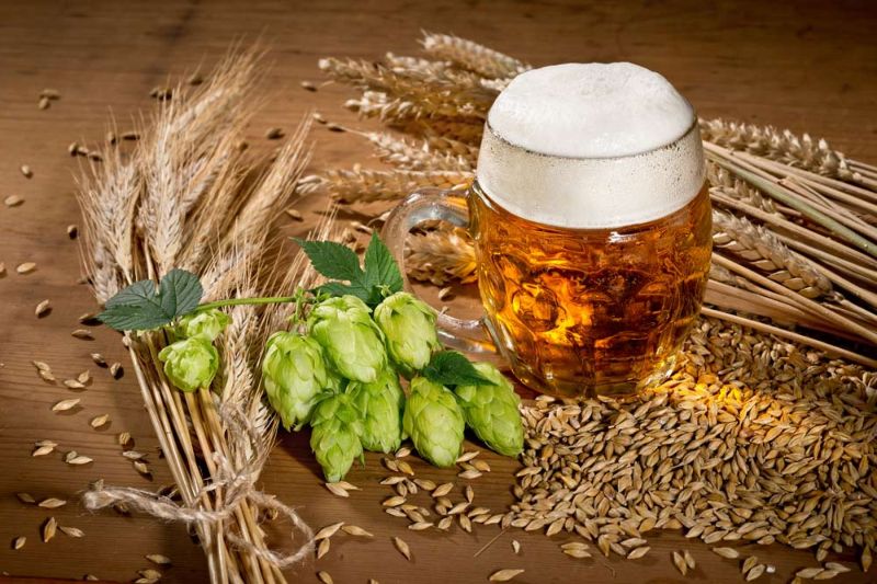 pivo