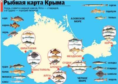 рыбалка в черном море