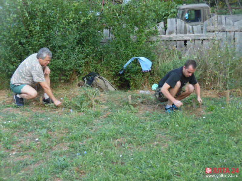 питомник в Ялте