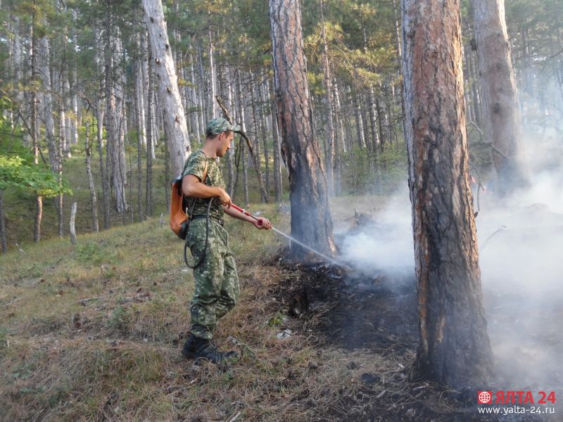 пожар в лесу Ялта