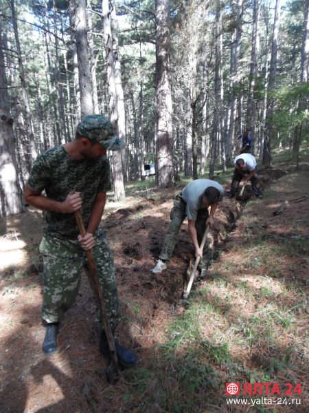 Заповедник в Ялте