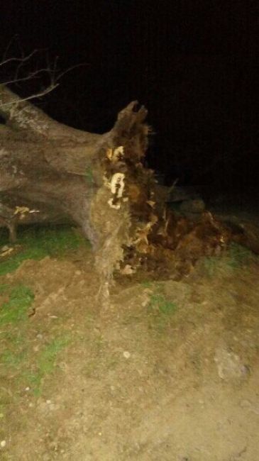 incident mor avtomobiley v yalte k podzhigatelyam podklyuchilis topolya diversanty 245 topol