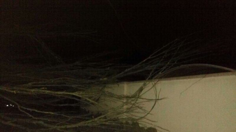 incident mor avtomobiley v yalte k podzhigatelyam podklyuchilis topolya diversanty 913 topol