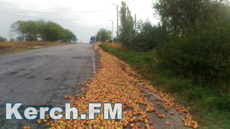 Яблоки на трассе