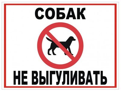 По улице Пушкинской в Ялте хотят запретить выгул собак