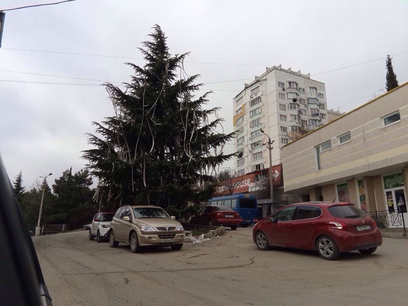 Самая необычная елка в Ялте наряжена.. туалетной бумагой