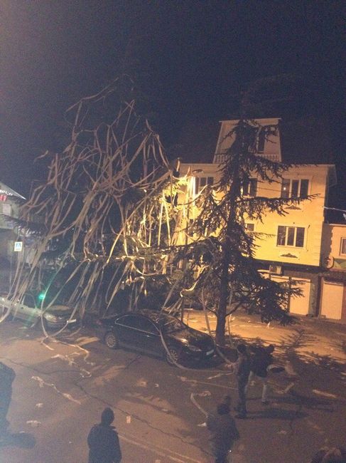 Самая необычная елка в Ялте наряжена.. туалетной бумагой