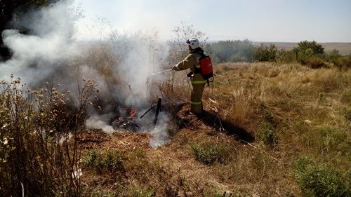 В День знаний в Ялтинском горно-лесном заповеднике тушили пожар