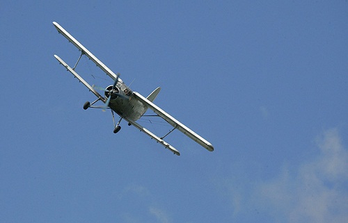 Самолет Ан-2 разбился на показательных выступлениях в подмосковной Балашихе
