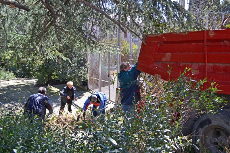 В Кореизе прошел очередной субботник 