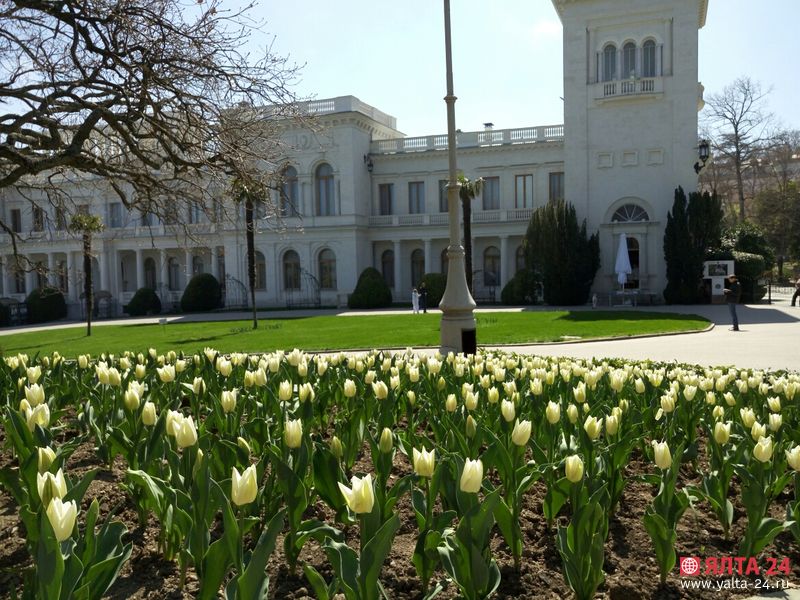 Тюльпаны у Ливадийского дворца