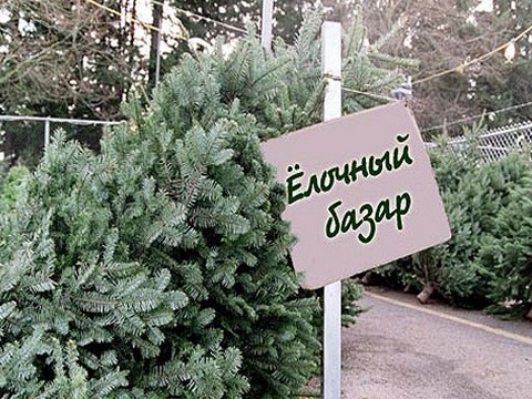 Елочный базар в Ялте