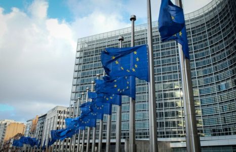 Европейский союз не признает выборы в Севастополе и Крыму и призывает освободить Чийгоза