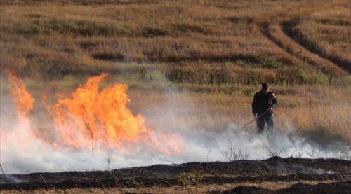 Пожар у села Школьное в Крыму