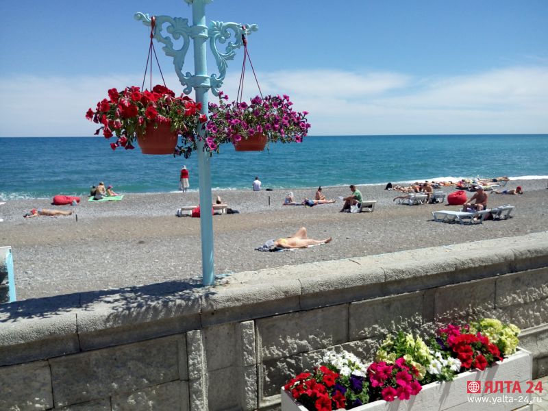 цветы на Приморском пляже