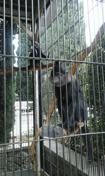 zoo4